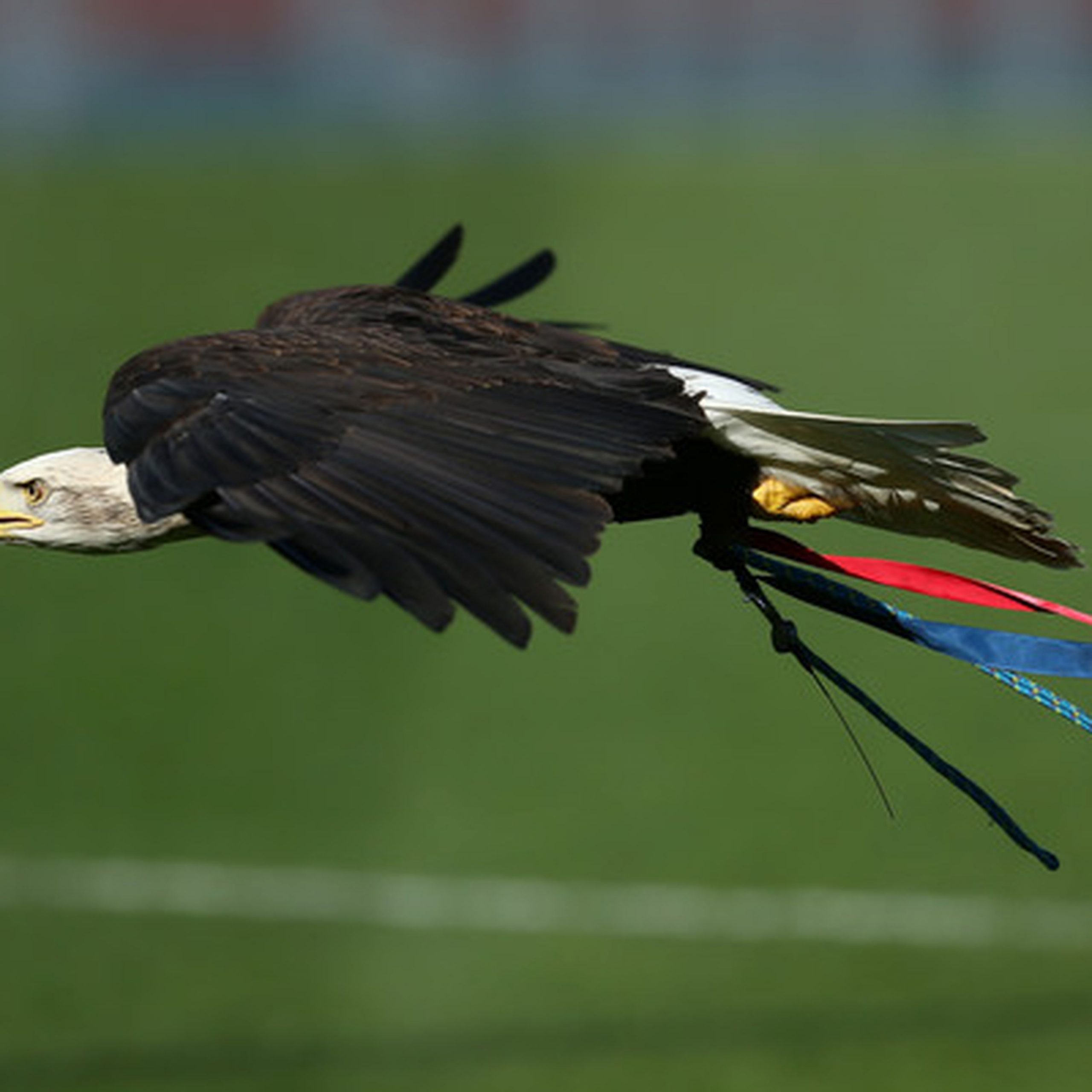 Episode 33 – Burnley (H)