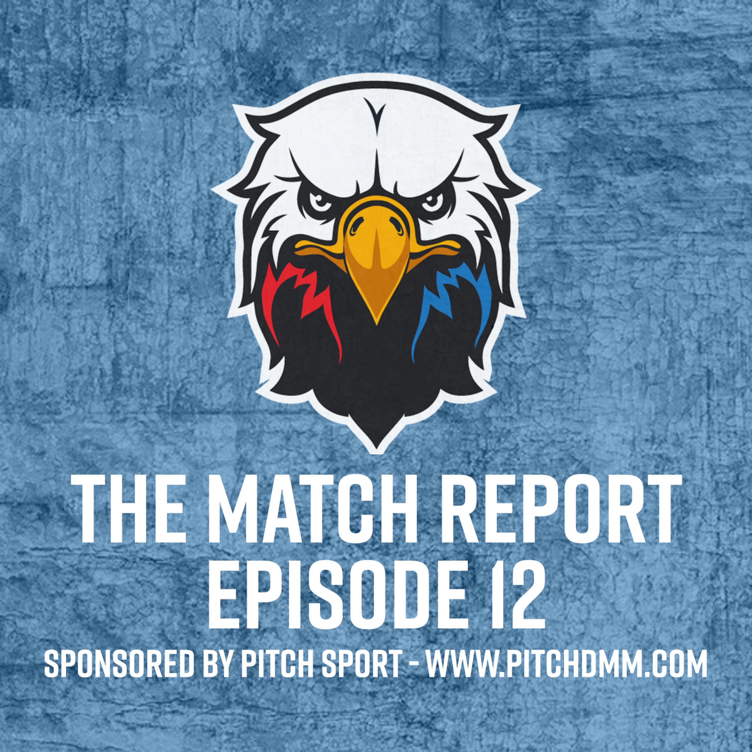 The Match Report – Palace Spurred on By Selhurst Faithful