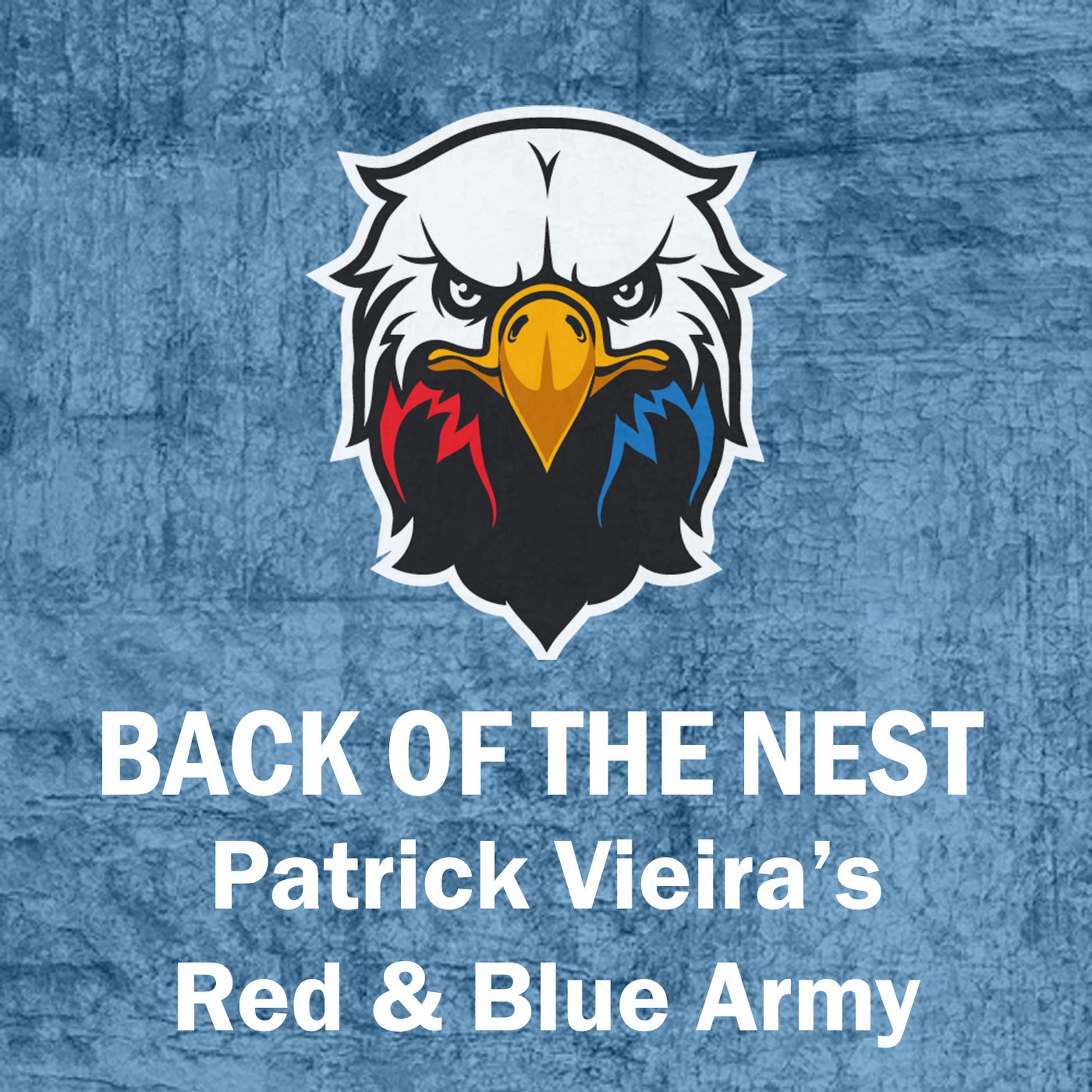 Patrick Vieira’s Red & Blue Army